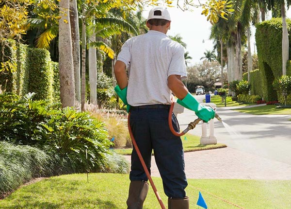 About San Jacinto CA Pest Control